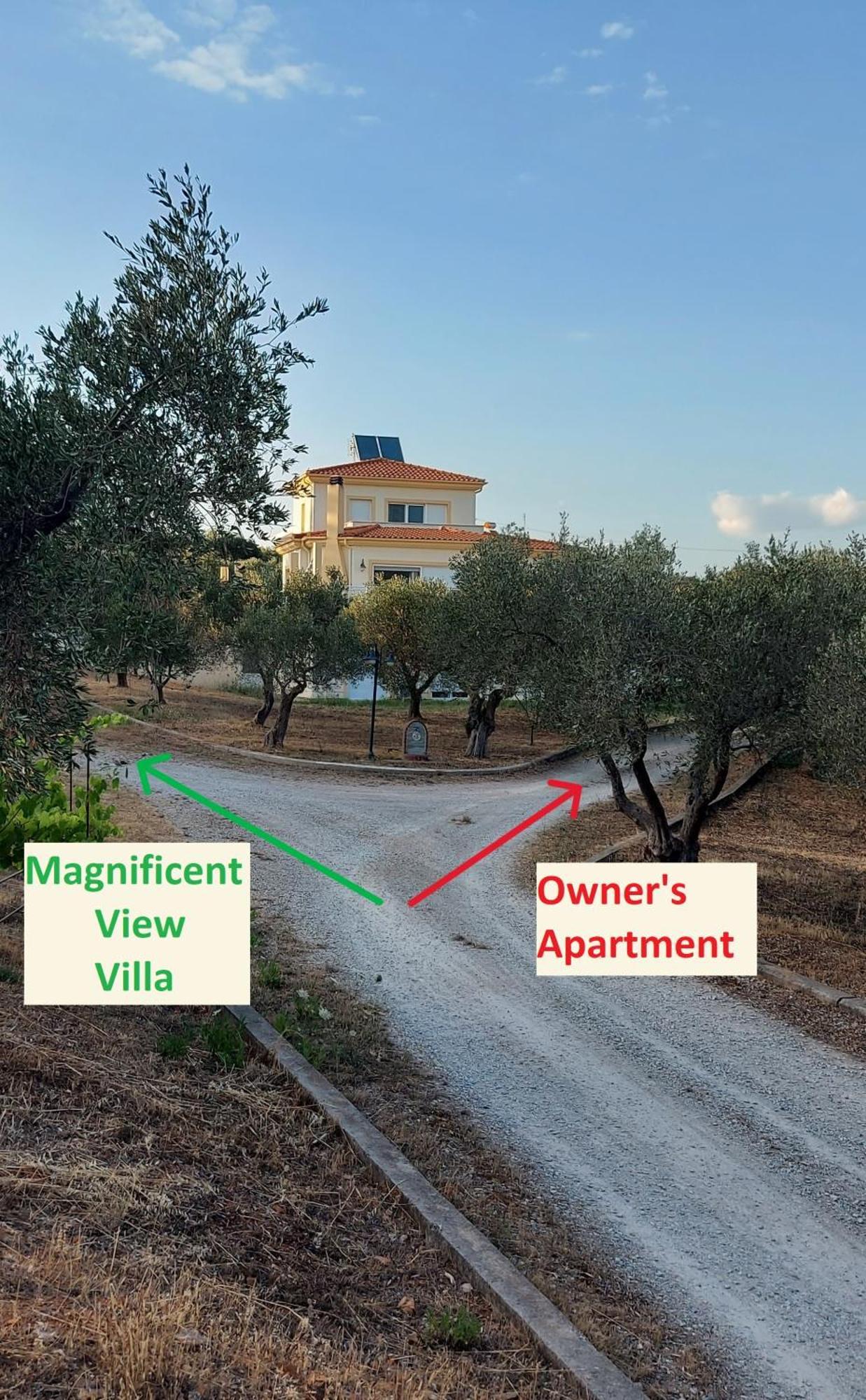 Magnificent View Villa Dedeağaç Dış mekan fotoğraf